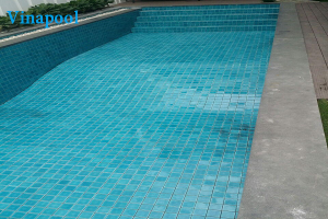VianPool Mr Thien Swimming Pool