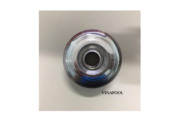 VianPool mat-tra-nuoc-inox